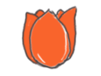 Illustratie van een oranje tulp met groene omlijning op een witte achtergrond.