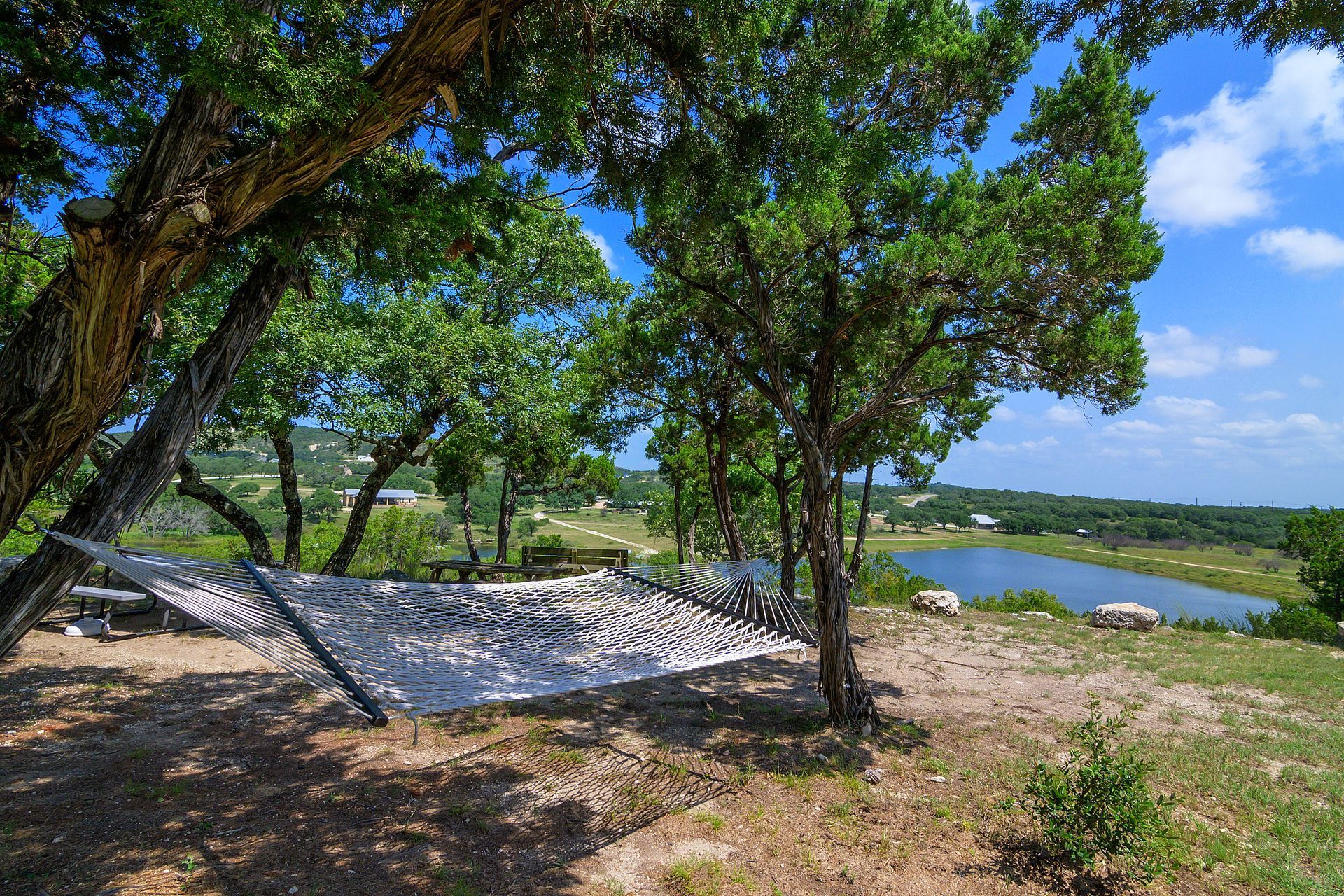 A hammock is sitting under a tree on top of a hill overlooking a lake.
