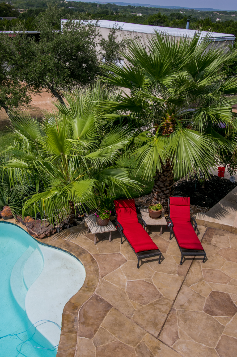 An aerial view of a swimming pool surrounded by palm trees and lawn chairs.