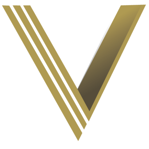 Vanguard Executive Security, protecting VIPs and HNWIs