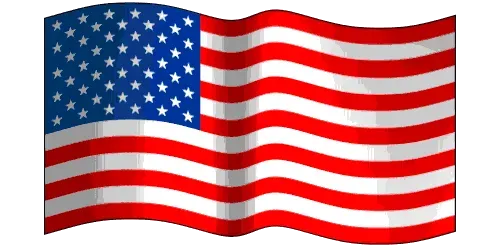 American Flag – Jacksonville, FL – Integrated Access Solutions