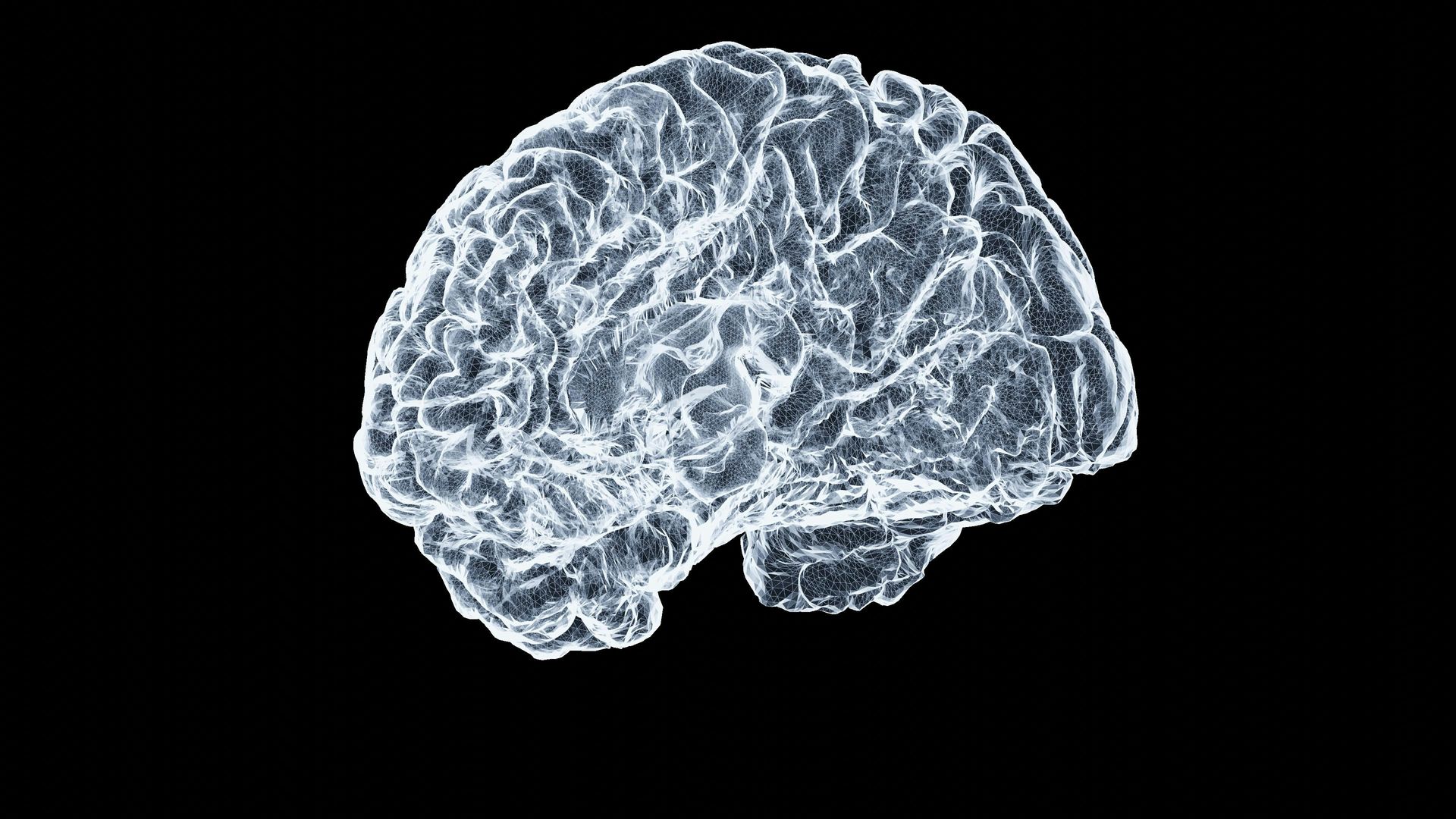 White brain illustration on a black background