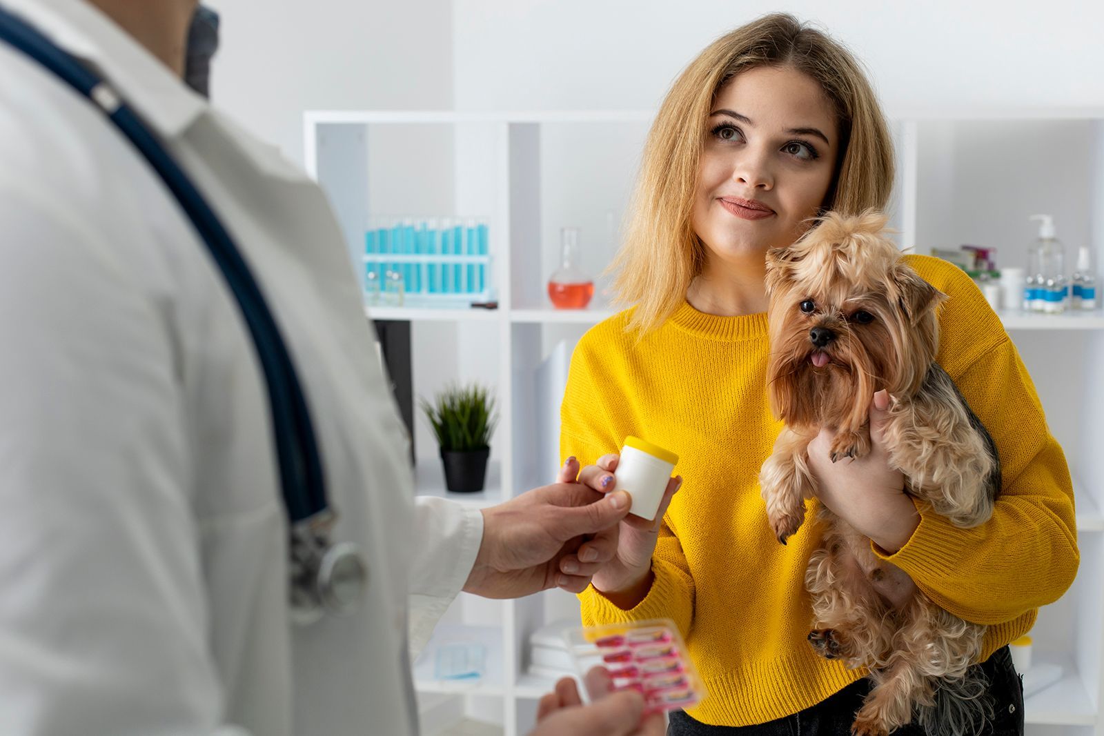 Un veterinario le administra al dueño de un perro un medicamento para un perro pequeño en un consultorio.