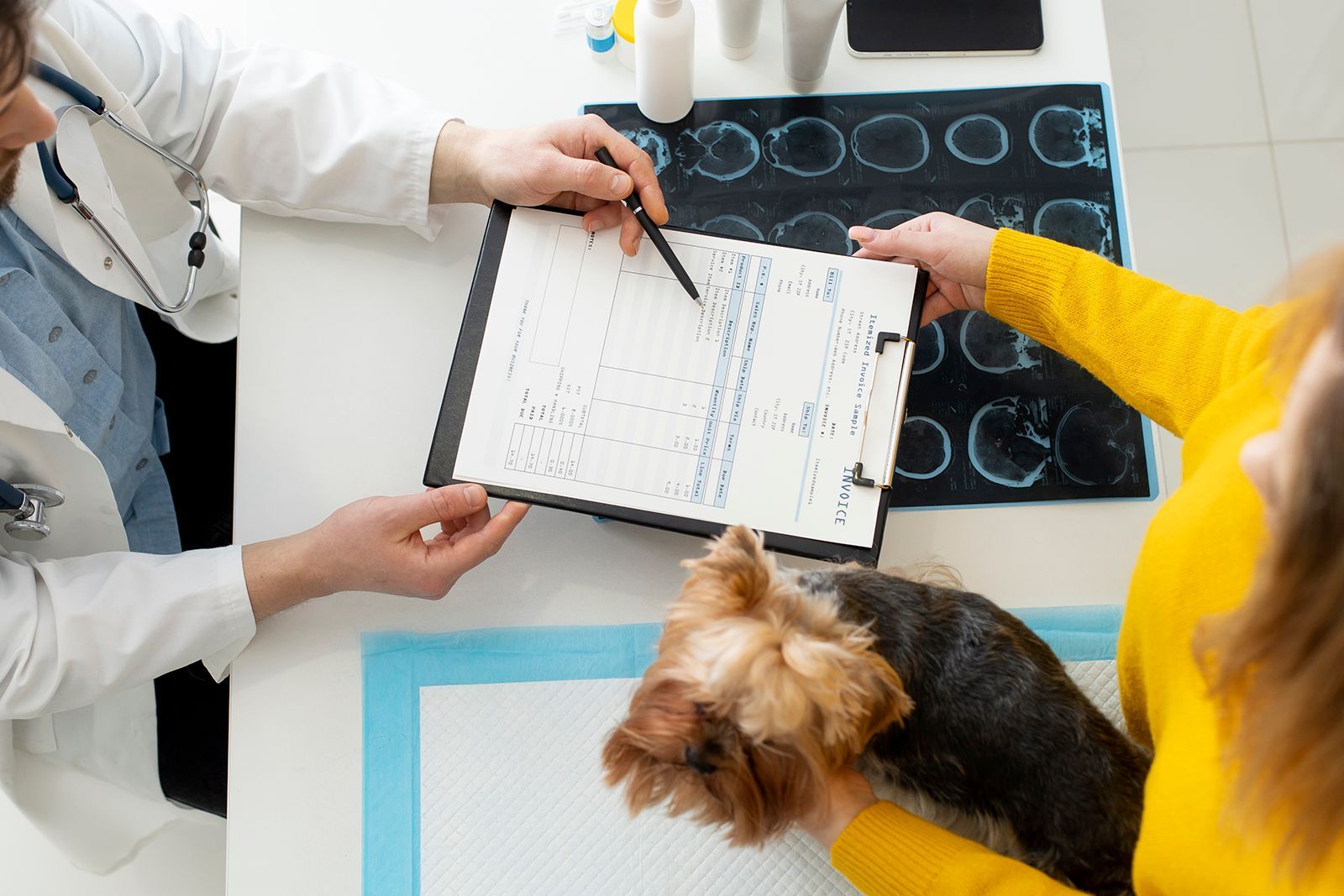 El veterinario señala el documento y explica los resultados al dueño de la mascota que sostiene un perro pequeño en una mesa de examen.