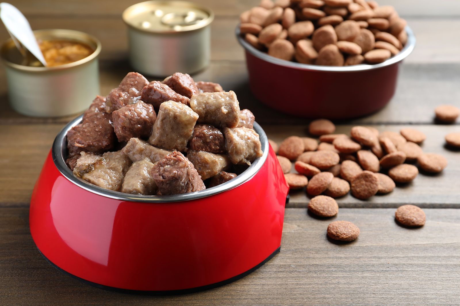 Cuencos rojos llenos de comida húmeda y seca para perros sobre una superficie de madera, con latas en el fondo.