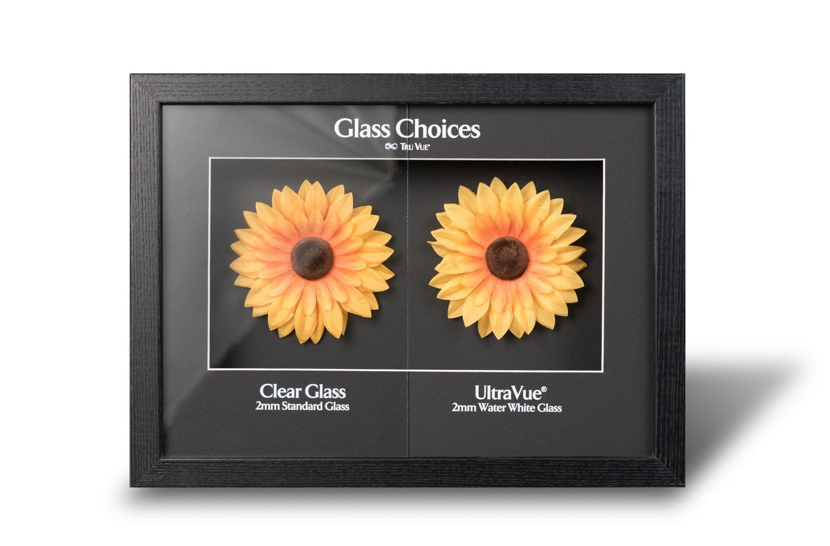 GLASS