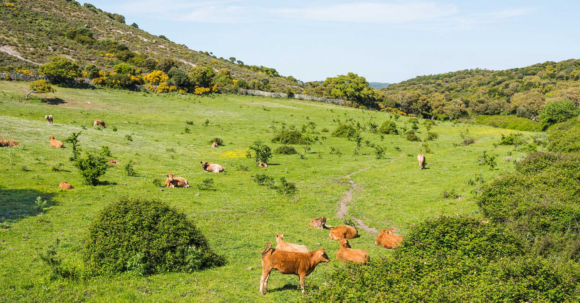 consulenza agraria