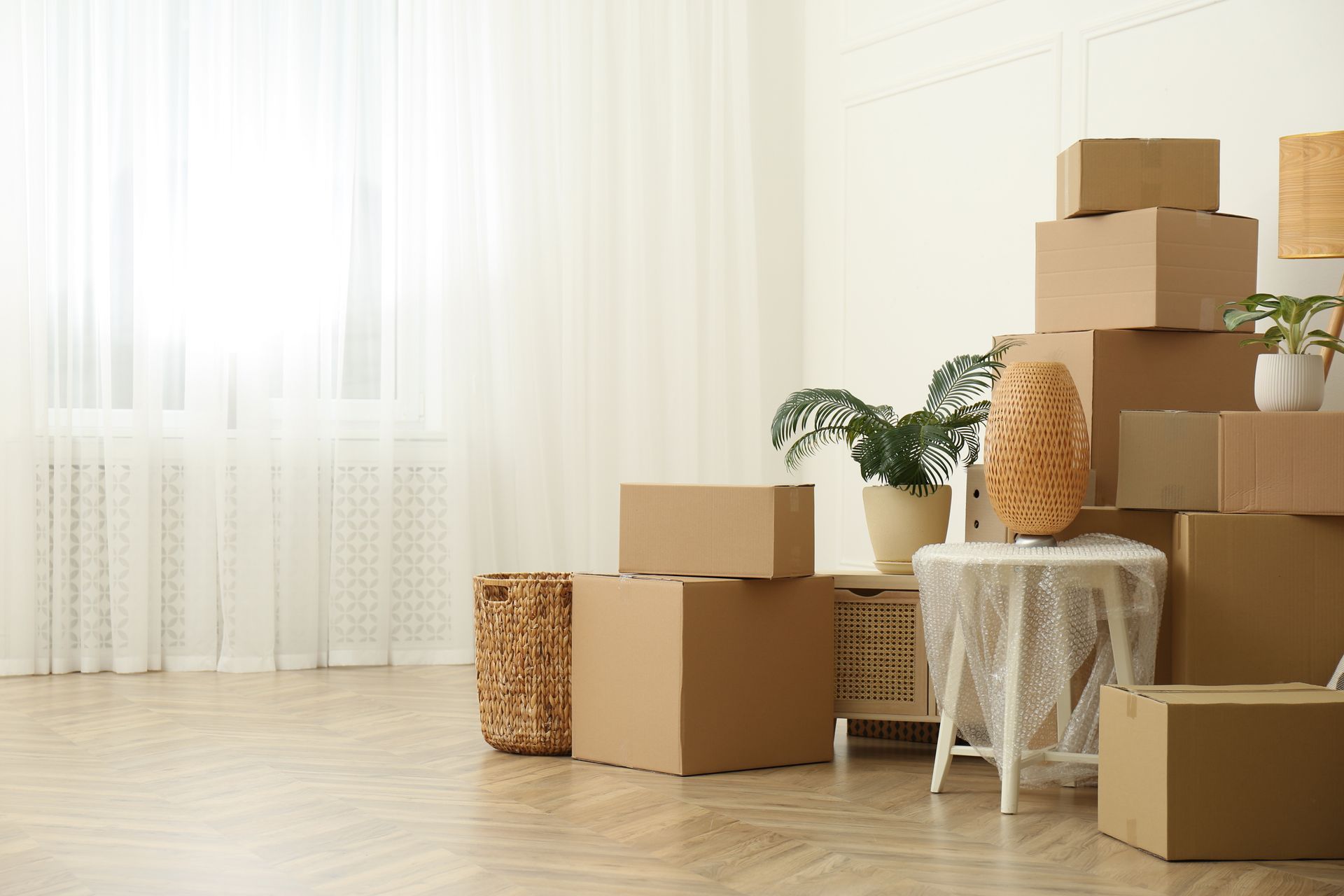 A room filled with lots of cardboard boxes and plants.