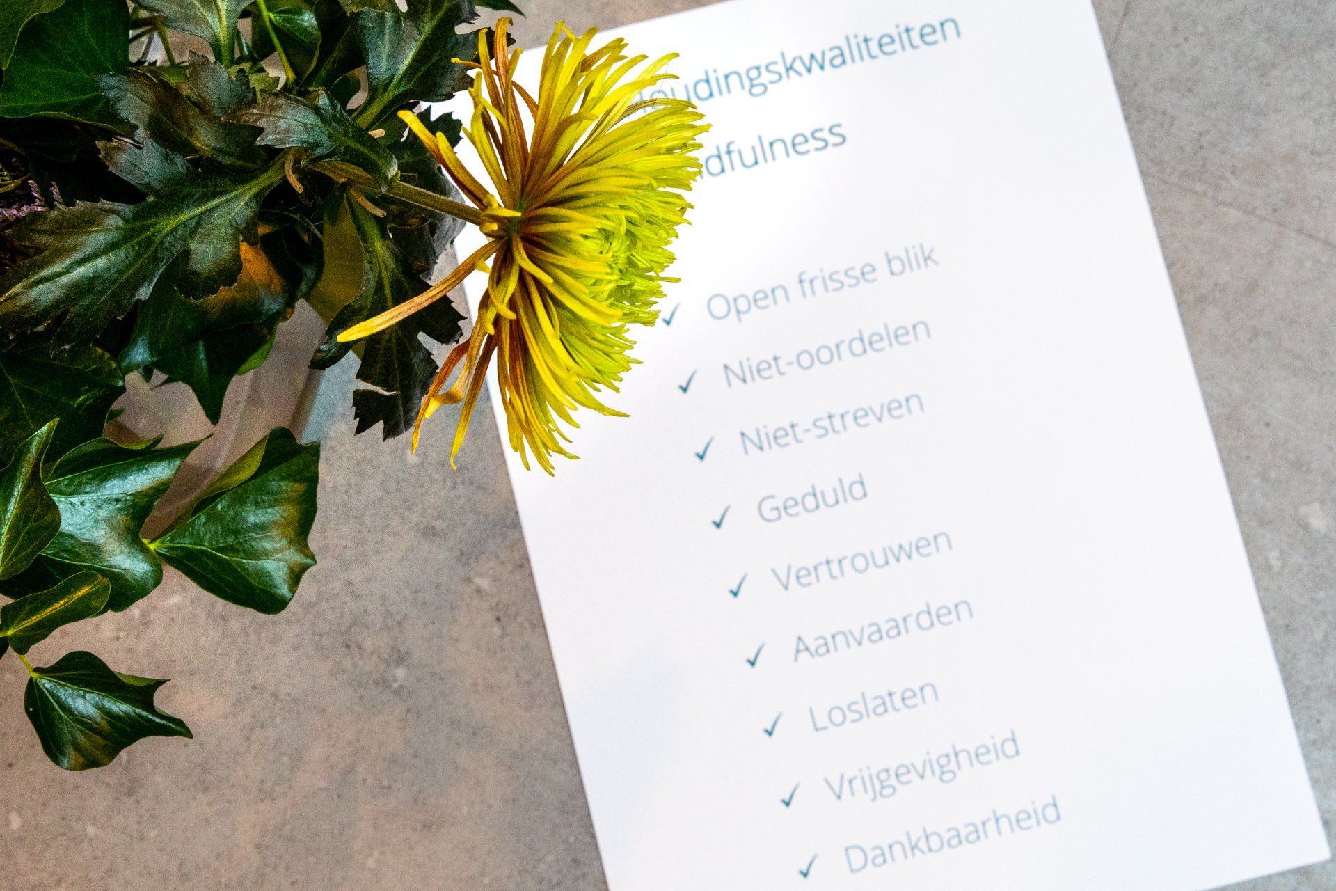 Houdingskwaliteiten mindfulness