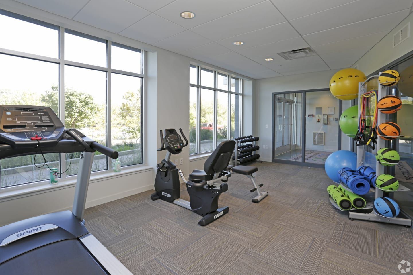 gym