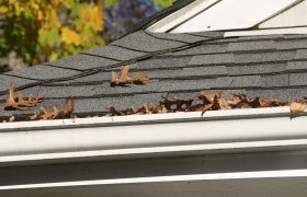 Gutter filled with brown leaves on a gray shingle roof. White trim. Sunny day, yellow leaves in background.