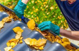 Person cleaning a gutter filled with yellow leaves, wearing green gloves.