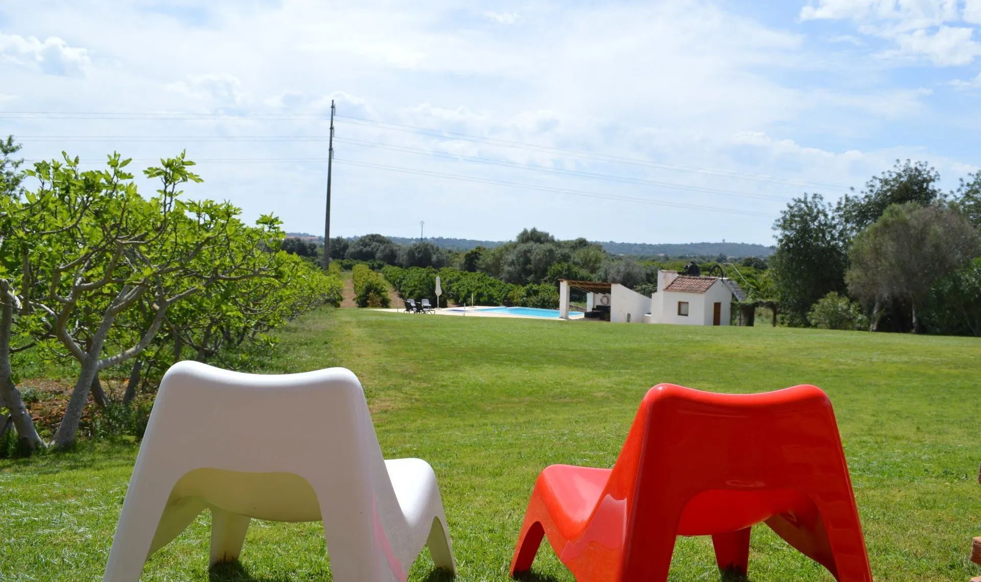 Relvado da Quinta da Mesquita