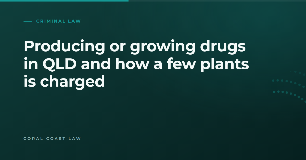 How producing and growing drugs is charged in Queensland, including what counts as cultivation