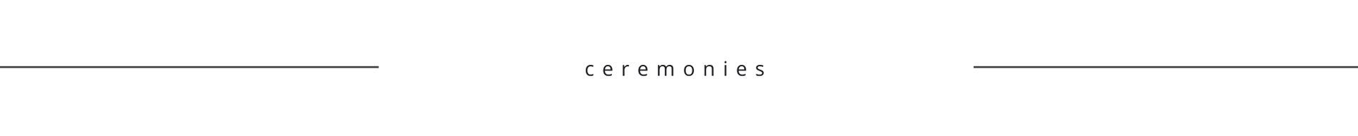 Minimalist website header with thin horizontal lines and a small centered logo on a white background