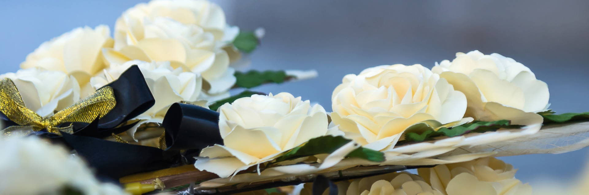 White roses with dark ribbon floating on water in a soft, serene arrangement