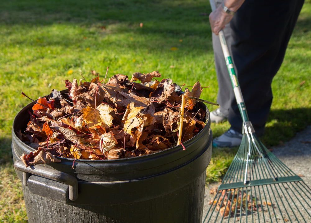 A Person Is Raking Leaves Out Of A Trash Can — Central West Budget Tree Services in Dubbo, NSW
