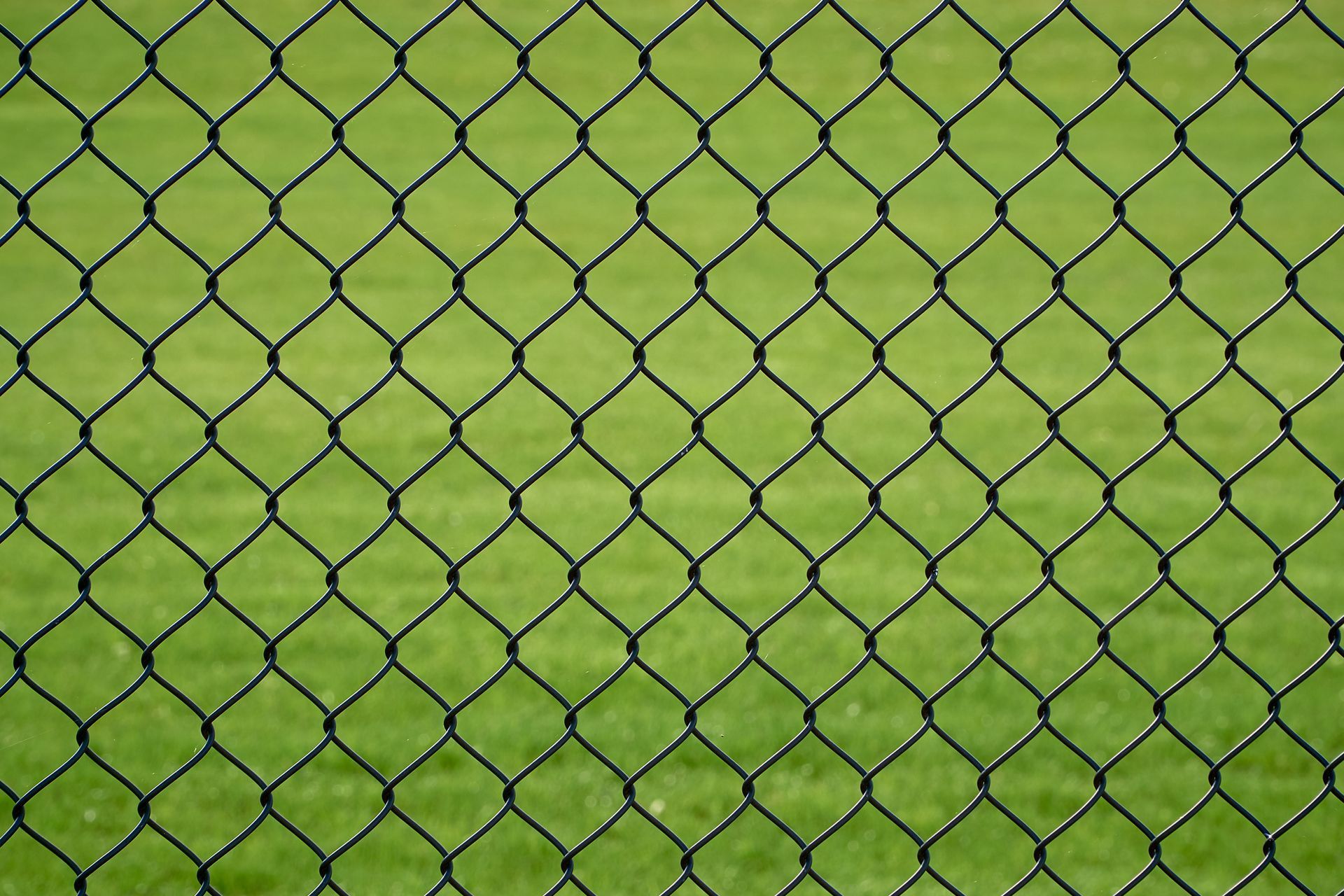 Residential black coated chain link fence installation in Tampa, FL