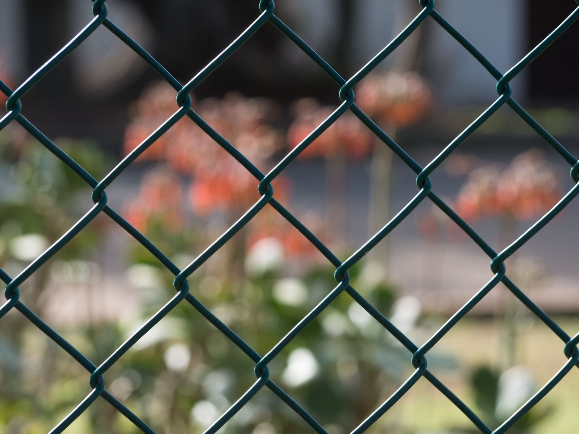 Residential green coated chain link fence installation in Tampa, FL