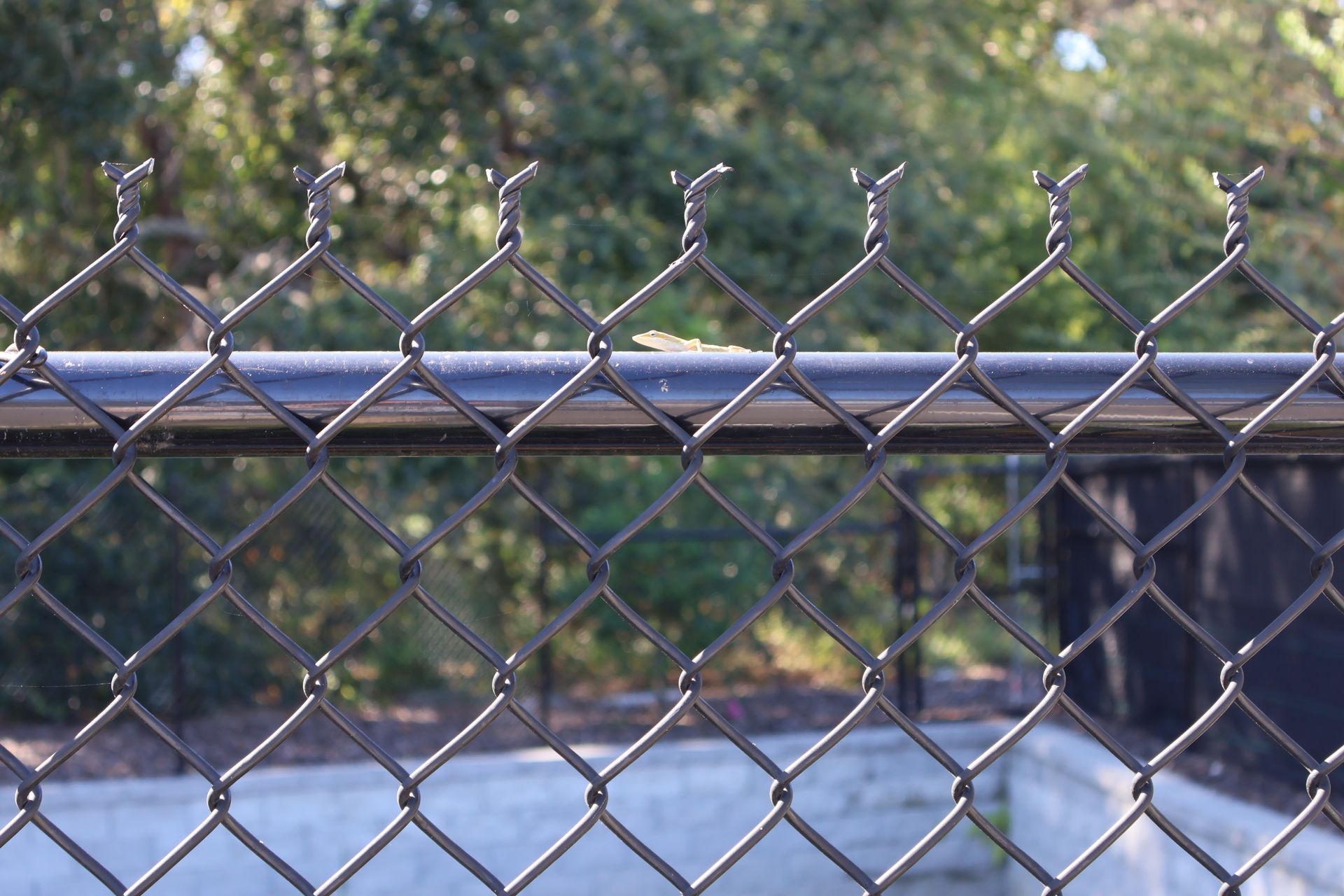 Closeup image of a chain link fence in Tampa, FL
