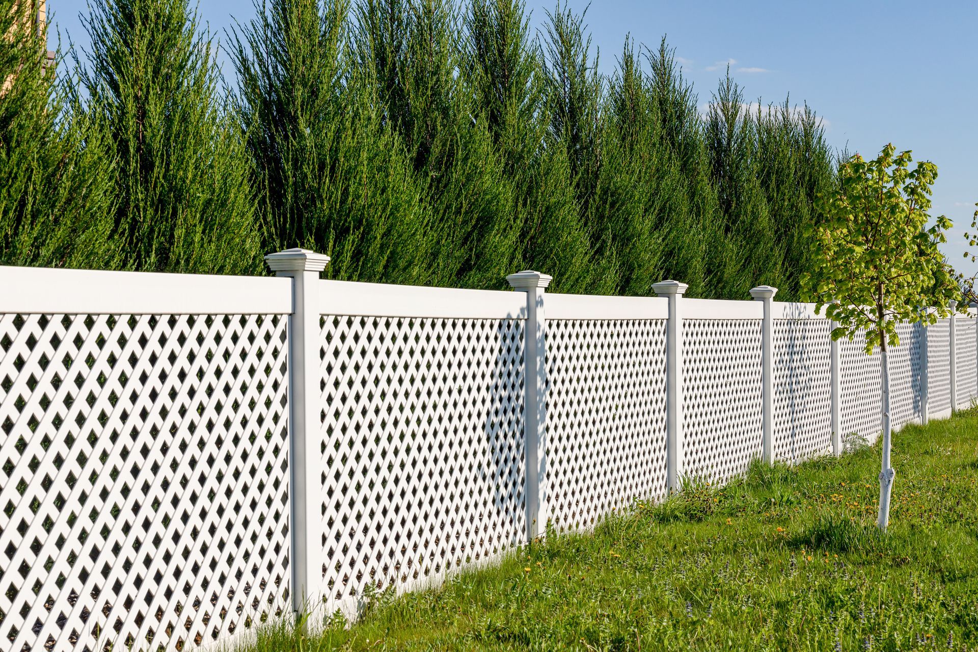 White vinyl residential decorative vinyl installation in Tampa, FL