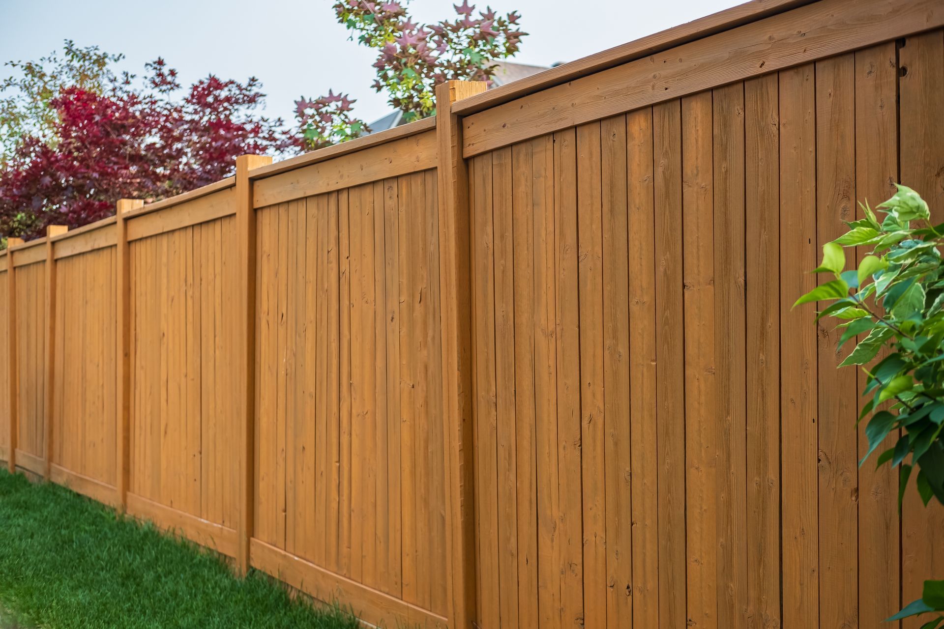 Residential wood privacy fence installation in Tampa, FL
