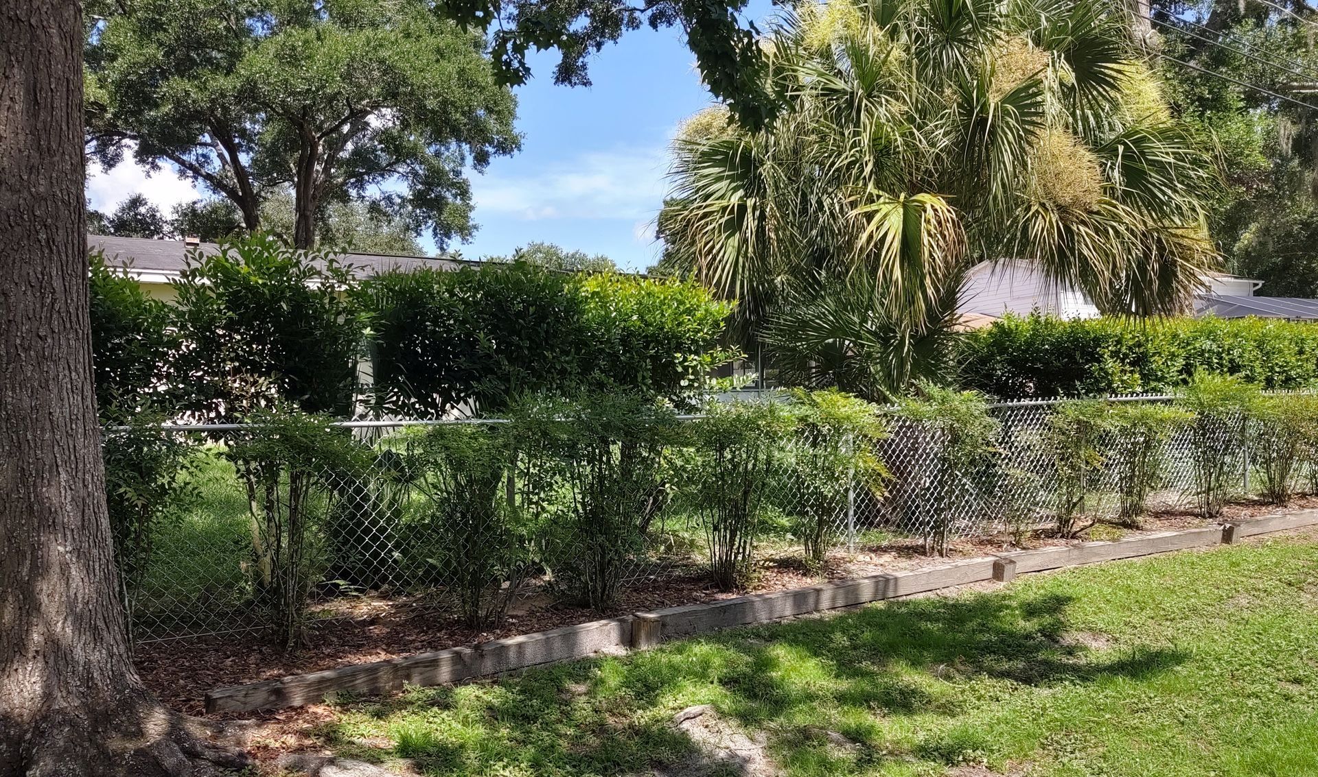 Residential chain link fence installation in Tampa, FL