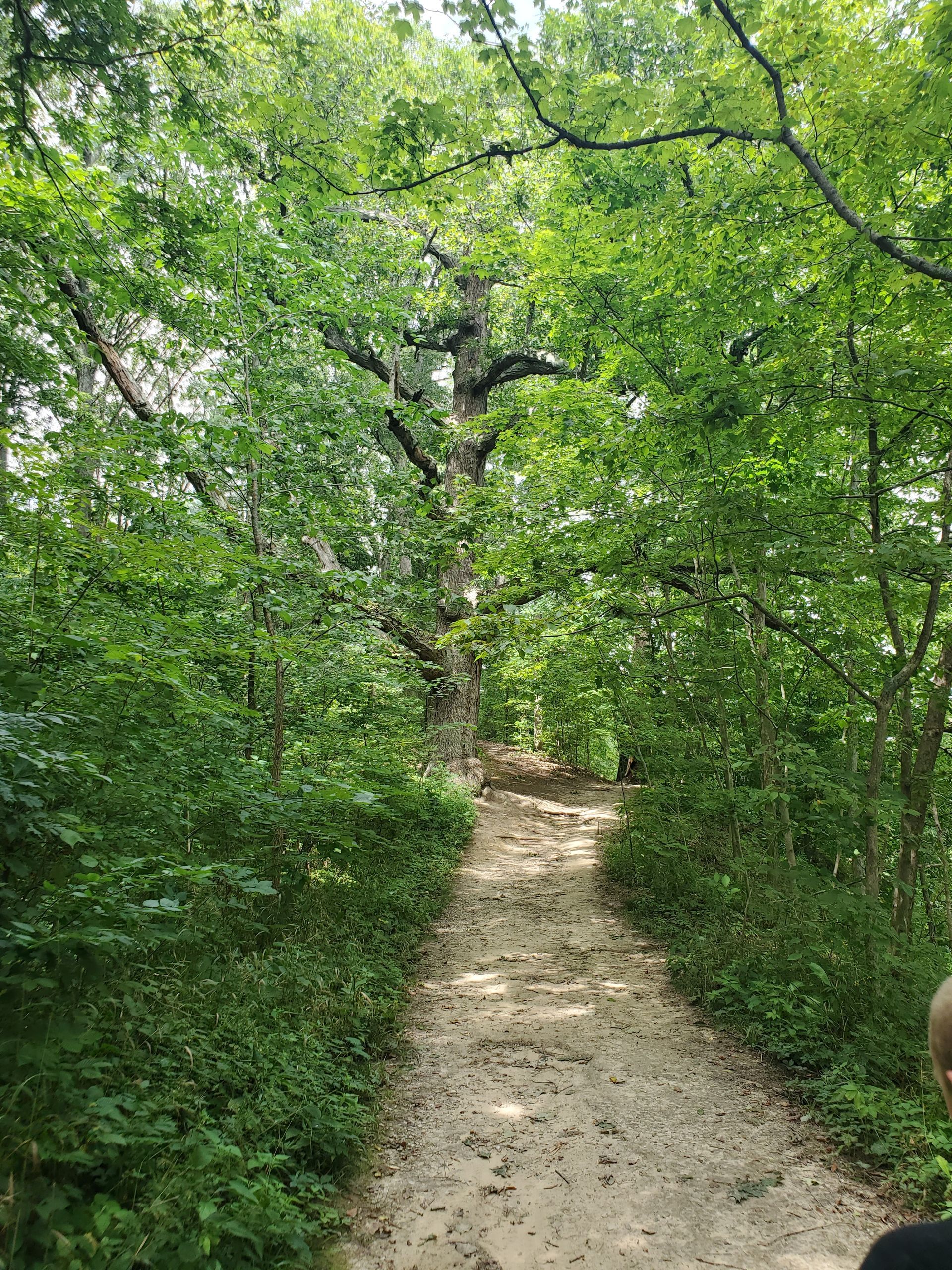 Indiana hiking