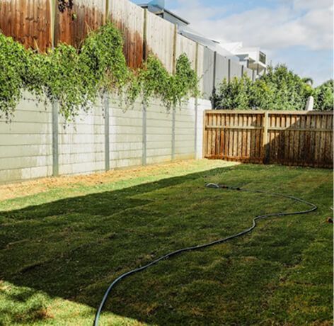 Backyard lawn with a garden hose, wooden fence, and concrete wall covered in trailing greenery