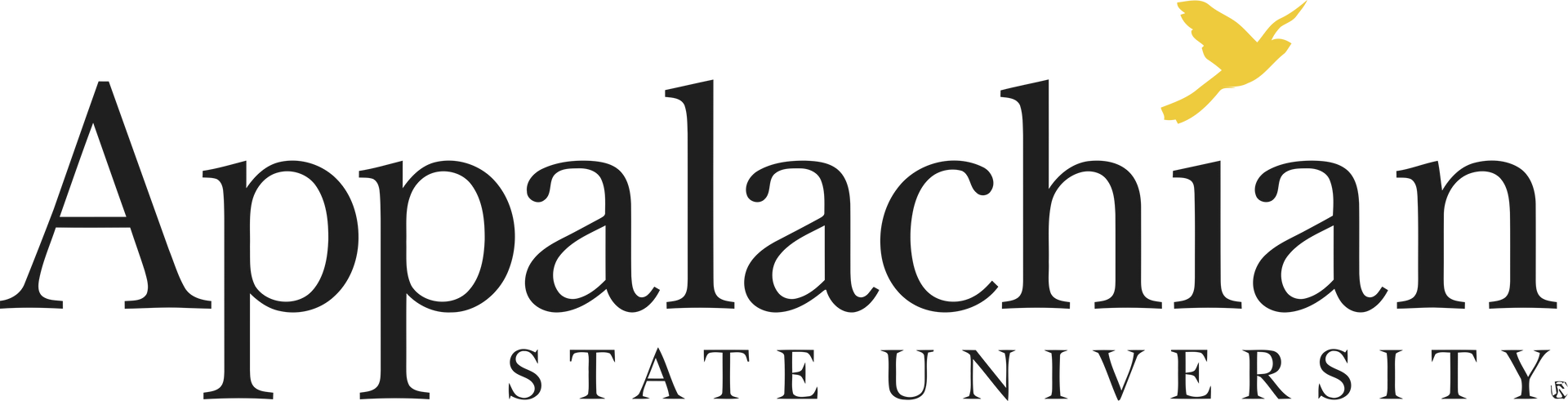 Appalachian State University logo with black text and a gold star above the wordmark