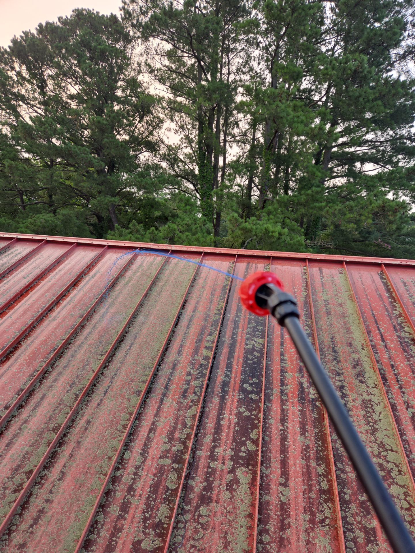 Red metal roof being cleaned with a pressure washer, with trees in the background.