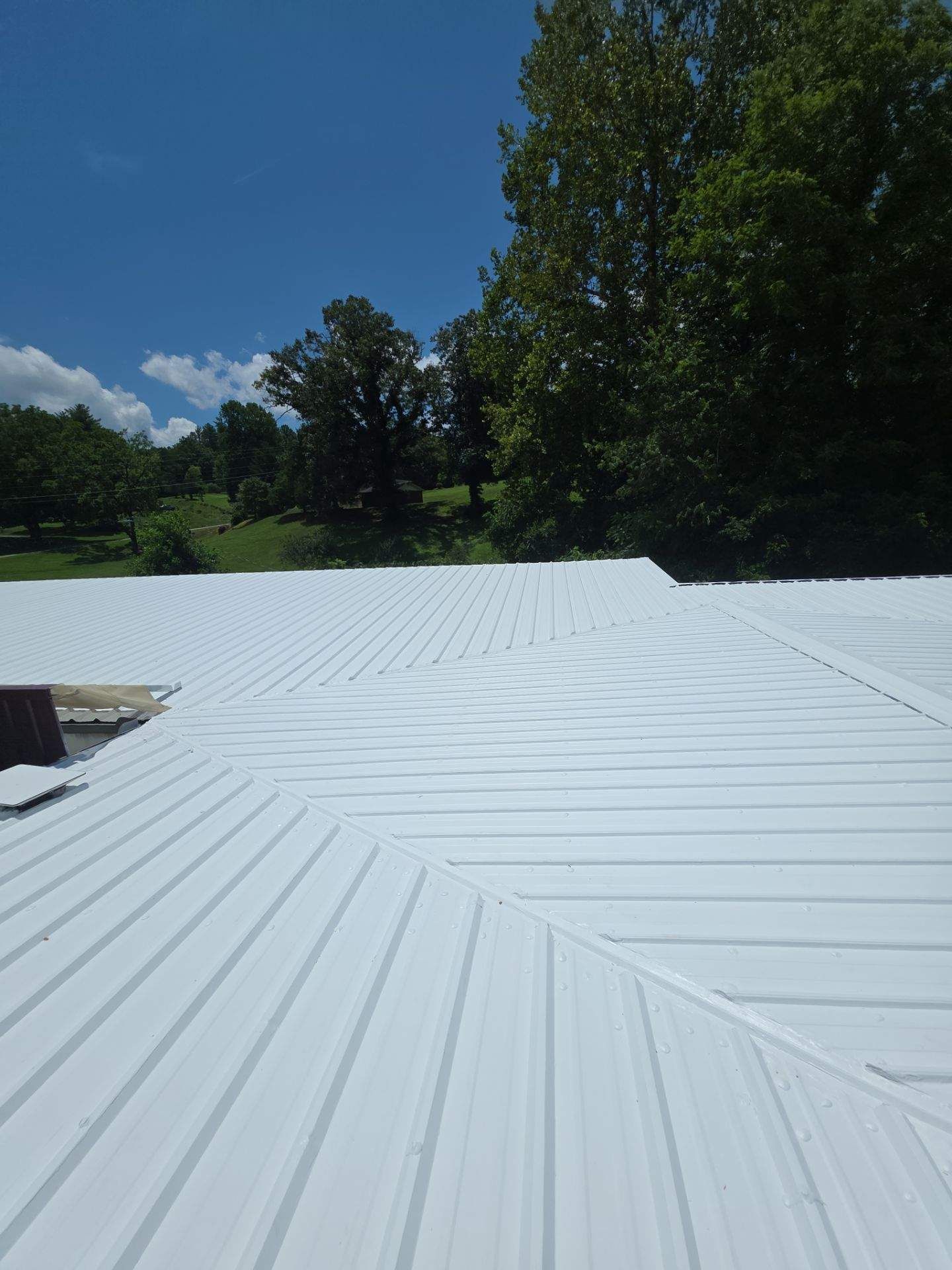 White metal roof under blue sky, with trees and greenery in the background.