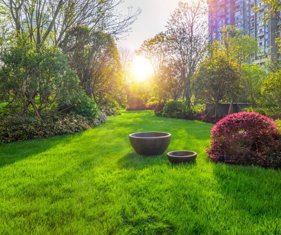 When to Fertilise Lawn: Expert Tips Advice for Best Results