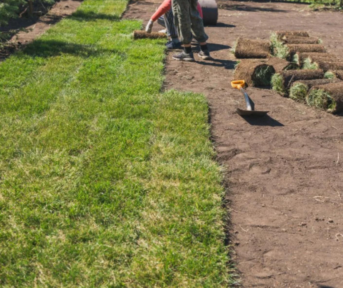 Two workers laying sod beside a dirt garden bed on a sunny lawn Two workers laying sod beside a dirt garden bed on a sunny lawn