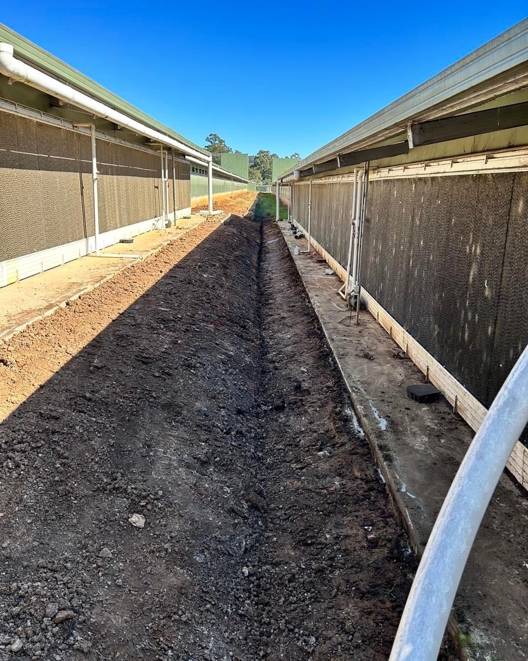 A dirt path runs between two large, parallel agricultural buildings with dark side panels and light-colored roofs.