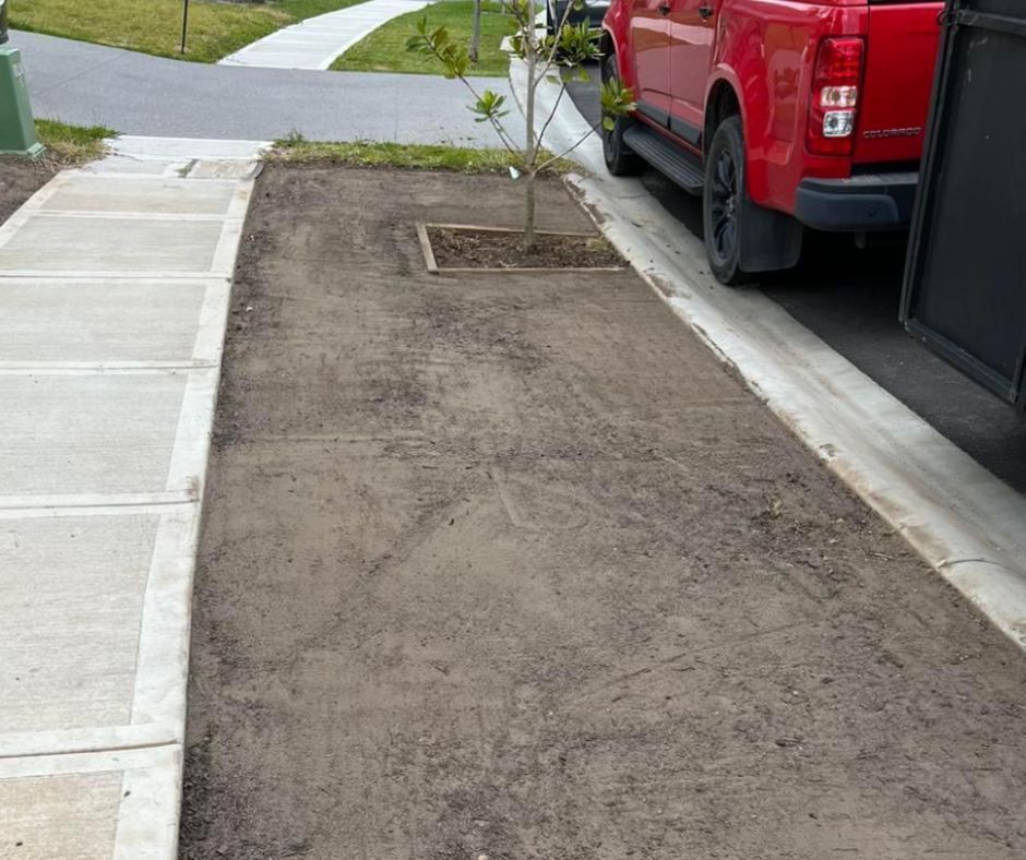 A dirt-covered patch of ground between a concrete sidewalk and a paved street, featuring a small tree in a square planter.