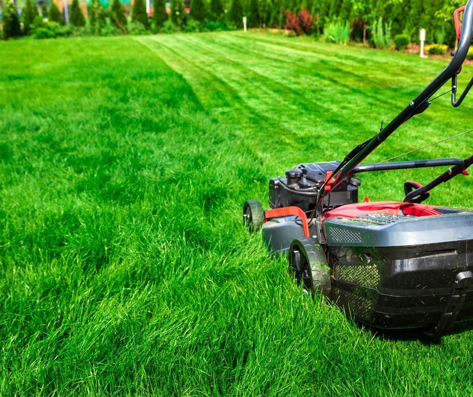 Lawn mower cutting lush green grass