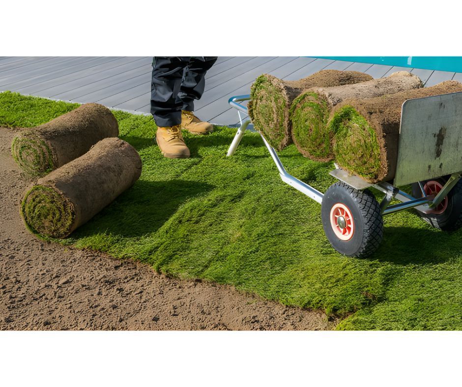 A person installs rolls of fresh green turf onto a leveled dirt surface, with more rolls sitting on a wheeled cart nearby.