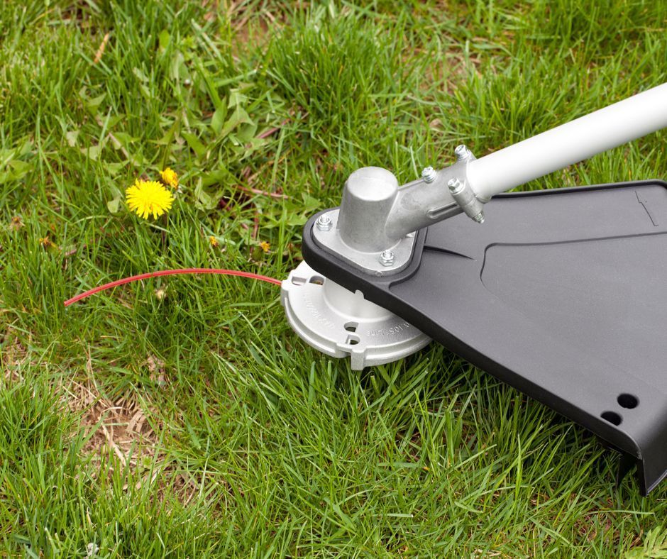 A string trimmer head rests on green grass next to a yellow dandelion.
