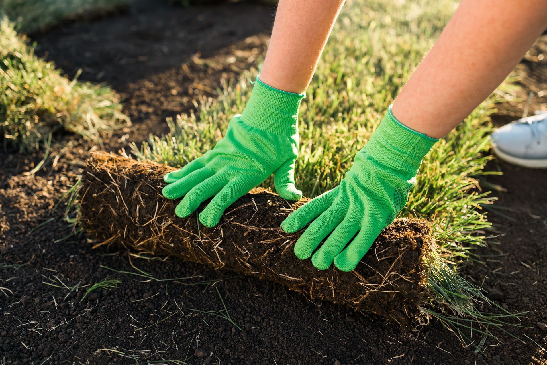 Hands wearing bright green gardening gloves laying a roll of sod onto dark soil.