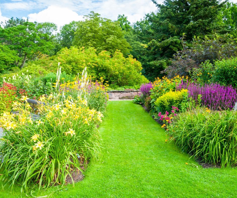 A thriving and well-maintained lawn