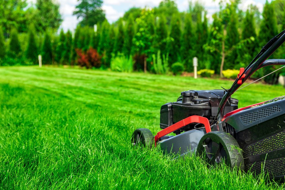 what-time-can-you-mow-the-lawn-in-nsw