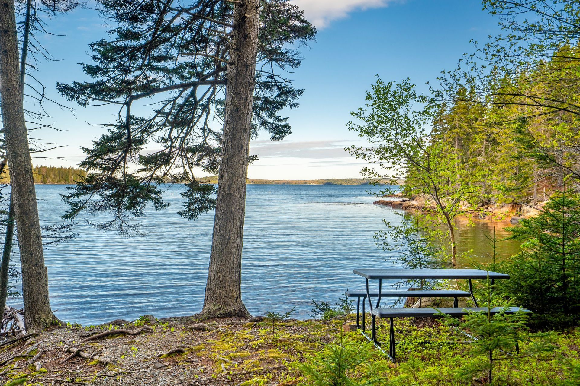 Bluff House Inn picnic area on a rocky Maine beach on the quiet side of Acadia, the Schoodic peninsula.