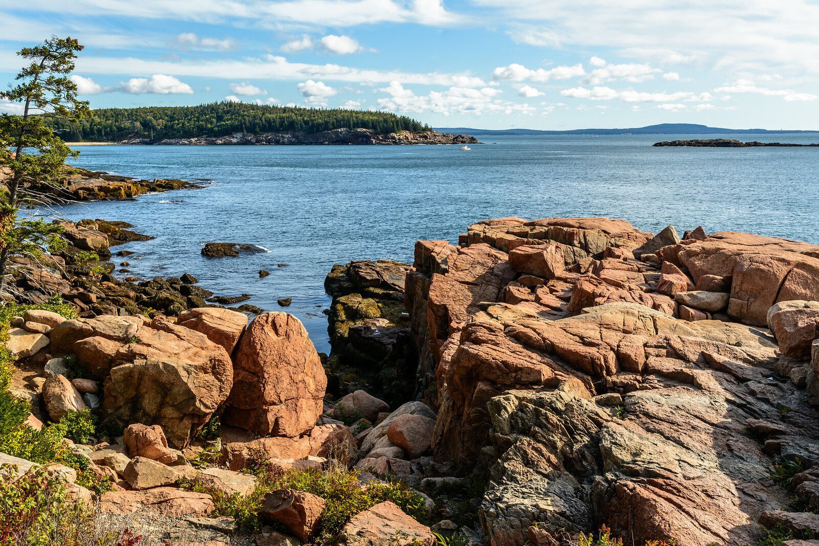 Maine's rocky coastline at Schoodic Point, Acadia National Park.