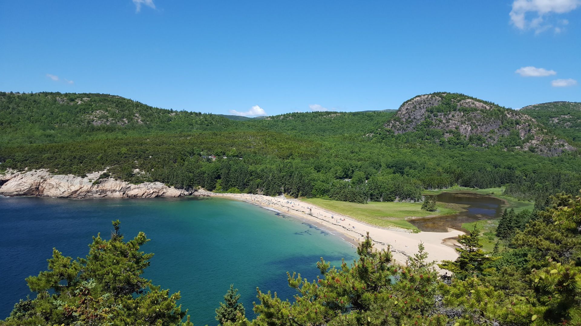 Maine's coastline  
