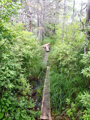 Corea Heath Preserve things to do near Bluff House Inn.