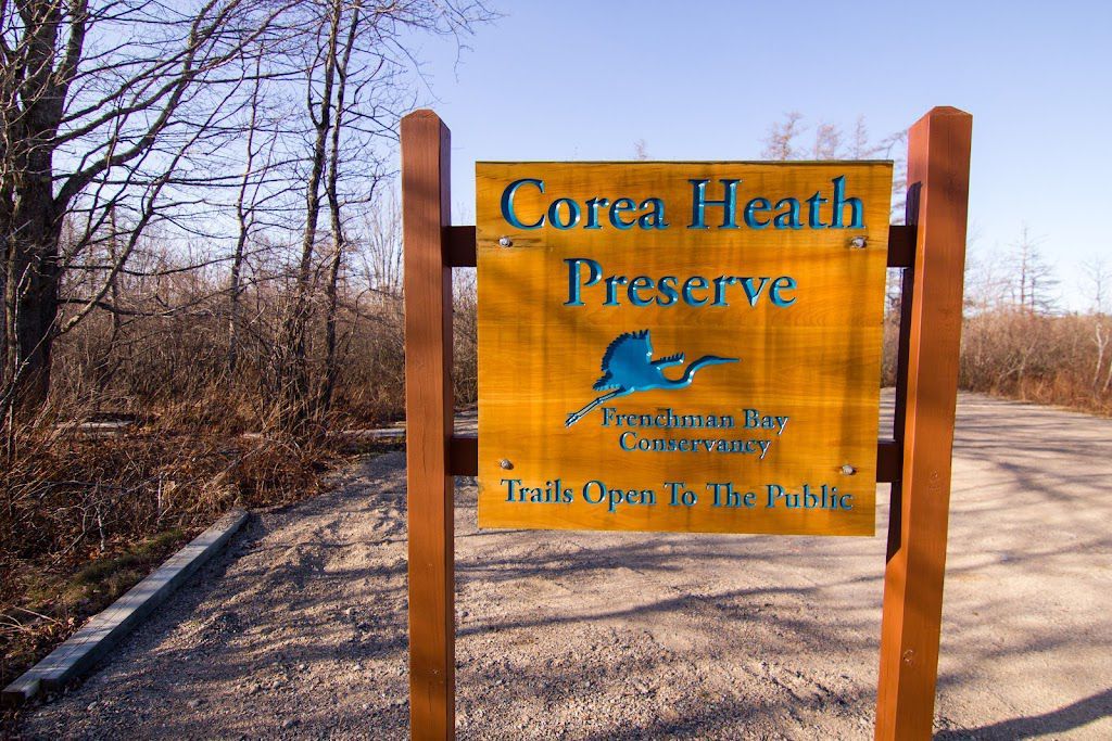 Corea Heath Preserve near Bluff House Inn Gouldsboro Maine
