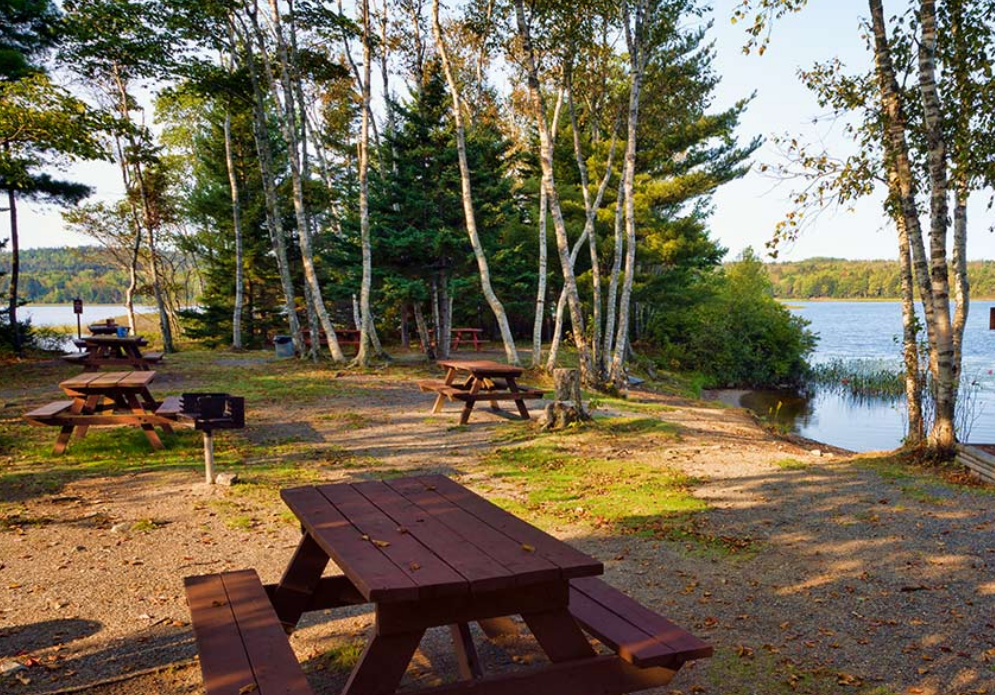 Jones Pond picnic area