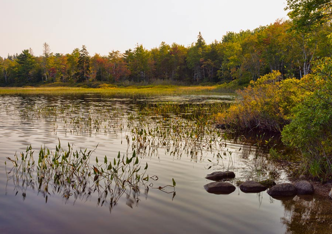 Jones Pond near Bluff House Inn Gouldsboro