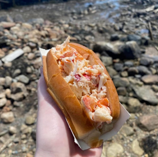 Hand holding a lobster roll over a rocky beach shoreline near the Bluff House Inn